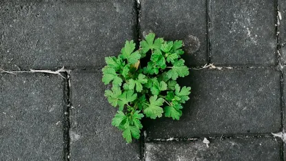 Cazino Deposit Win Cazinou Aplicație mobilă